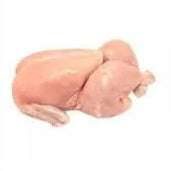 Baby chicken